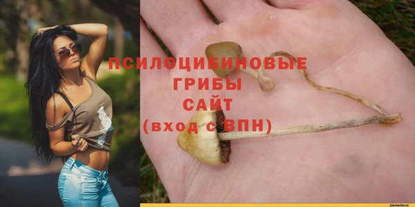 герыч Алзамай