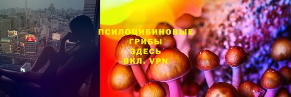 а пвп мука Рославль