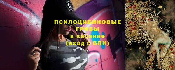 ALPHA PVP Ростов
