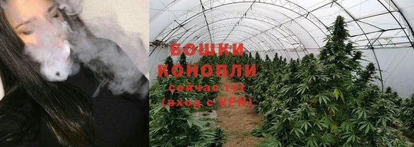 гашик Заволжье