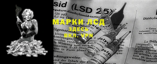 прущие грибы Ельня