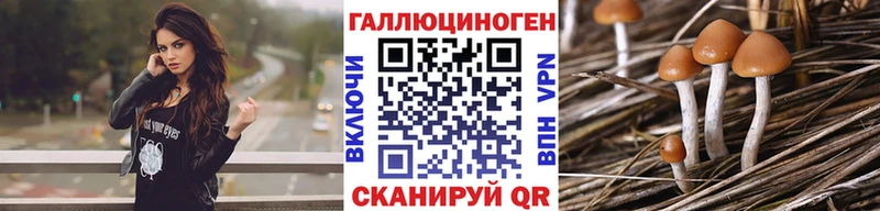 как найти закладки  МЕГА ССЫЛКА  Псилоцибиновые грибы Cubensis  Жуков 